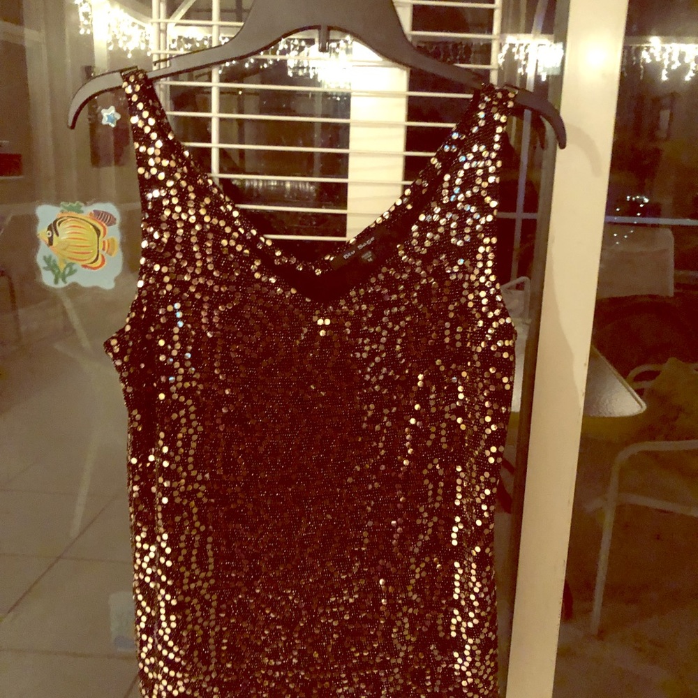 Blue Sage sequin camisole size M